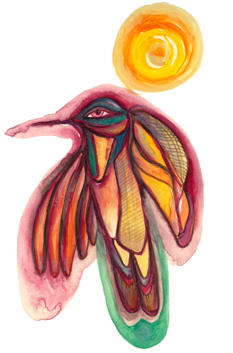 hummingbirds