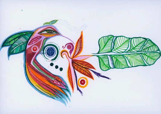 bird of paradise