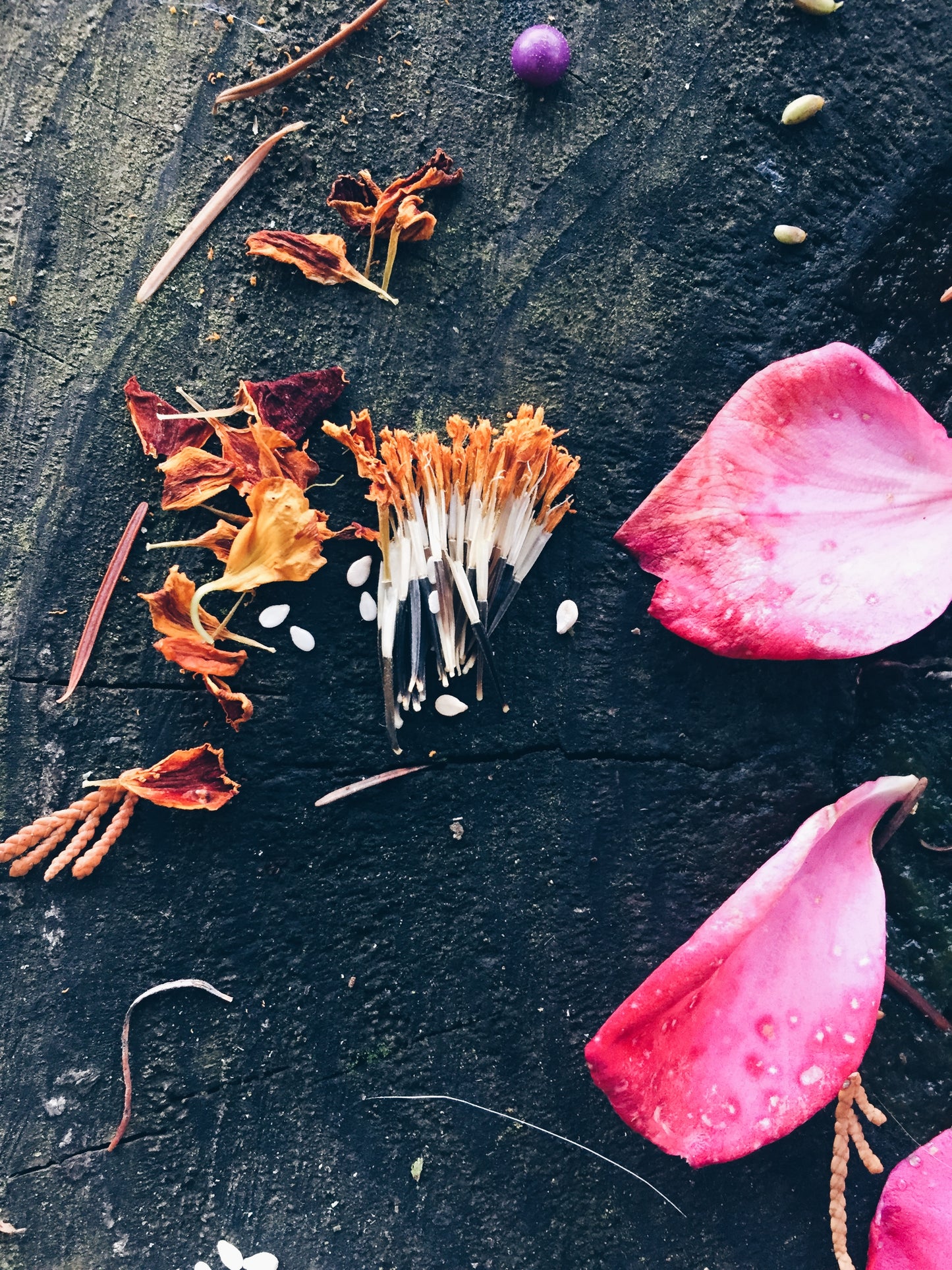 Samhain Painting Ritual of Letting Go & Ancestral Connection