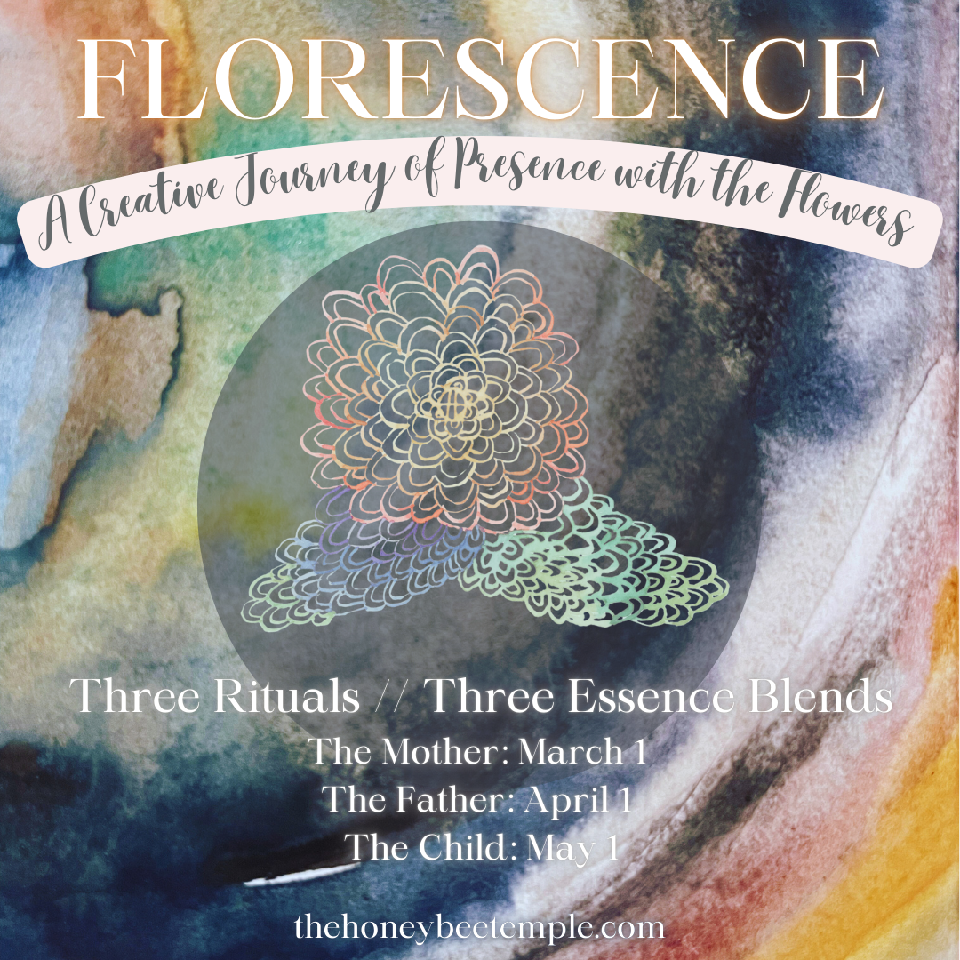Florescence Flower Essence Art Immersion