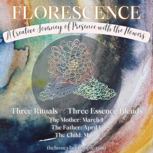 Florescence Flower Essence Art Immersion