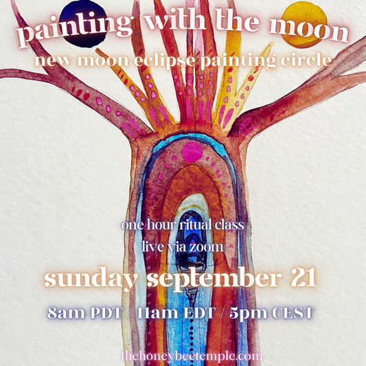 Painting with the Moon Solar Eclipse